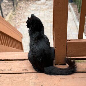 Meet your Posher, Joe